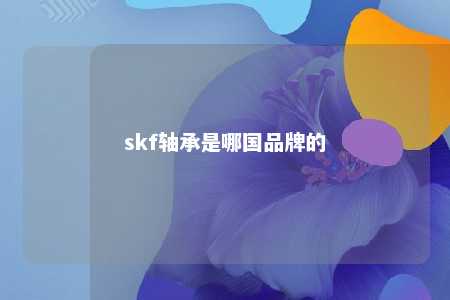 skf轴承是哪国品牌的 